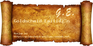 Goldschmid Emilián névjegykártya